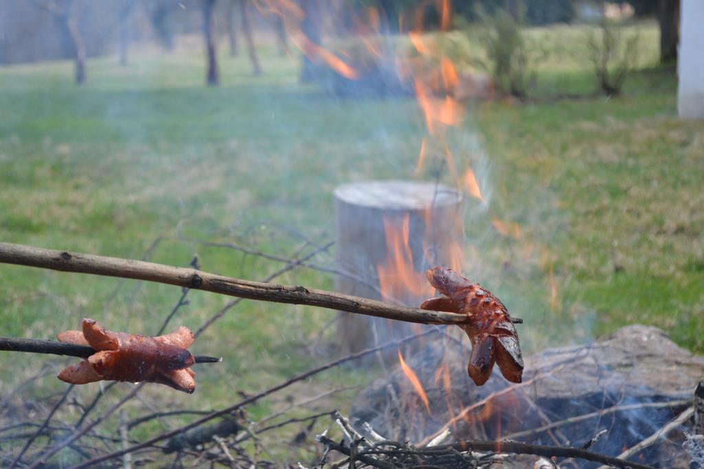 Chalupa Pod Klepacem Králíky Dış mekan fotoğraf
